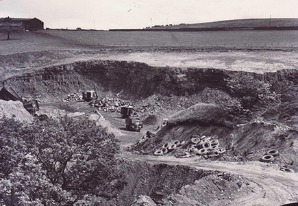 Harwood Quarry 1964